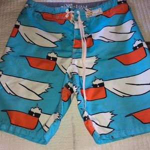 Billabong seagull swim